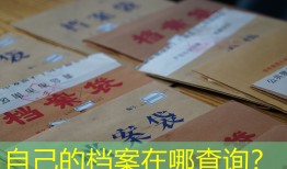 自己的档案在哪查询？