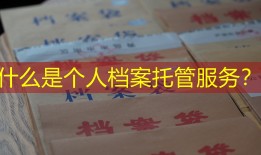什么是个人档案托管服务？