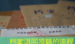档案退回原籍的流程