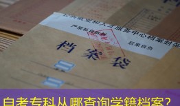 自考专科从哪查询学籍档案？