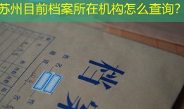 苏州目前档案所在机构怎么查询？
