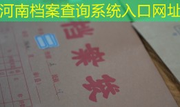 河南档案查询系统入口网址