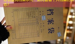 怎么查询档案状况：如何查看个人档案的状态？