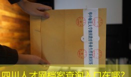 四川人才网档案查询入口在哪？