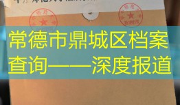 常德市鼎城区档案查询——深度报道