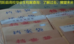 泗阳县高校毕业生档案查询：了解过去，展望未来