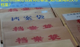 武汉市档案怎么查询在哪里_如何查阅武汉市档案？