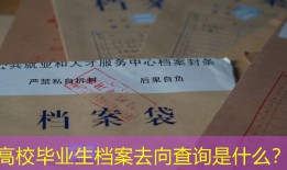 高校毕业生档案去向查询是什么？