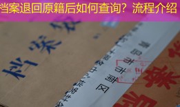 档案退回原籍后如何查询？流程介绍