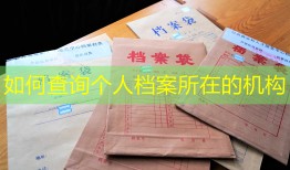 如何查询个人档案所在的机构