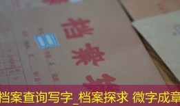 档案查询写字_档案探求 微字成章