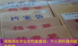 湖南高校毕业生档案查询：个人资料查询服务指南