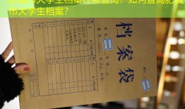 肥城市大学生档案在哪查询？如何查询肥城市大学生档案？