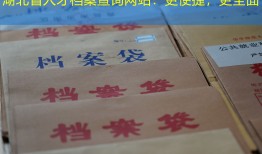 湖北省人才档案查询网站：更便捷，更全面