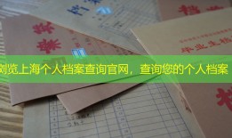 浏览上海个人档案查询官网，查询您的个人档案