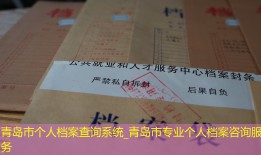 青岛市个人档案查询系统_青岛市专业个人档案咨询服务