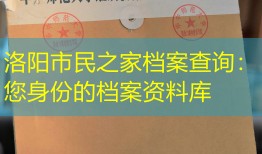 洛阳市民之家档案查询：您身份的档案资料库