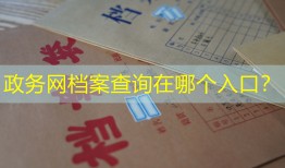 政务网档案查询在哪个入口？
