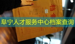 阜宁人才服务中心档案查询