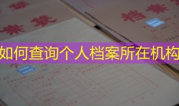如何查询个人档案所在机构