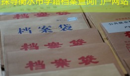 探寻衡水市学籍档案查询门户网站