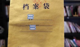 高职升学档案在哪查询？