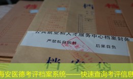 海安医德考评档案系统——快速查询考评信息