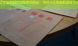 辽宁省朝阳市档案查询网址：寻找个人档案的最佳途径
