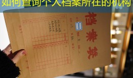 如何查询个人档案所在的机构