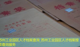 苏州工业园区人才档案查询_苏州工业园区人才档案搜索查询服务