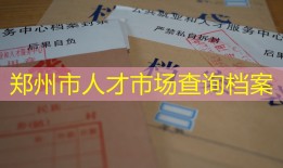 郑州市人才市场查询档案