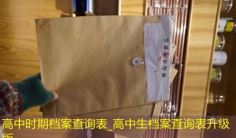 高中时期档案查询表_高中生档案查询表升级版