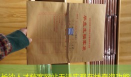 长沙人才档案网站无法实现在线查询功能