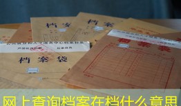 网上查询档案在档什么意思