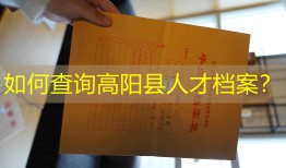 如何查询高阳县人才档案？