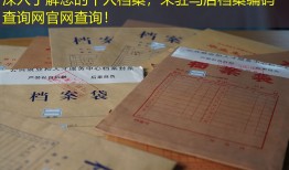 深入了解您的个人档案，来驻马店档案编码查询网官网查询！