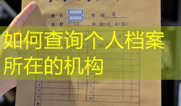 如何查询个人档案所在的机构