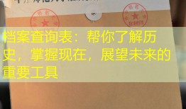 档案查询表：帮你了解历史，掌握现在，展望未来的重要工具