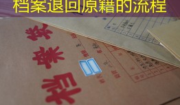 档案退回原籍的流程