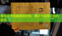 青岛成考档案查询官网：揭示您成考之路的密语