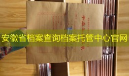 安徽省档案查询档案托管中心官网