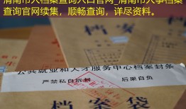 渭南市人档案查询入口官网_渭南市人事档案查询官网续集，顺畅查询，详尽资料。