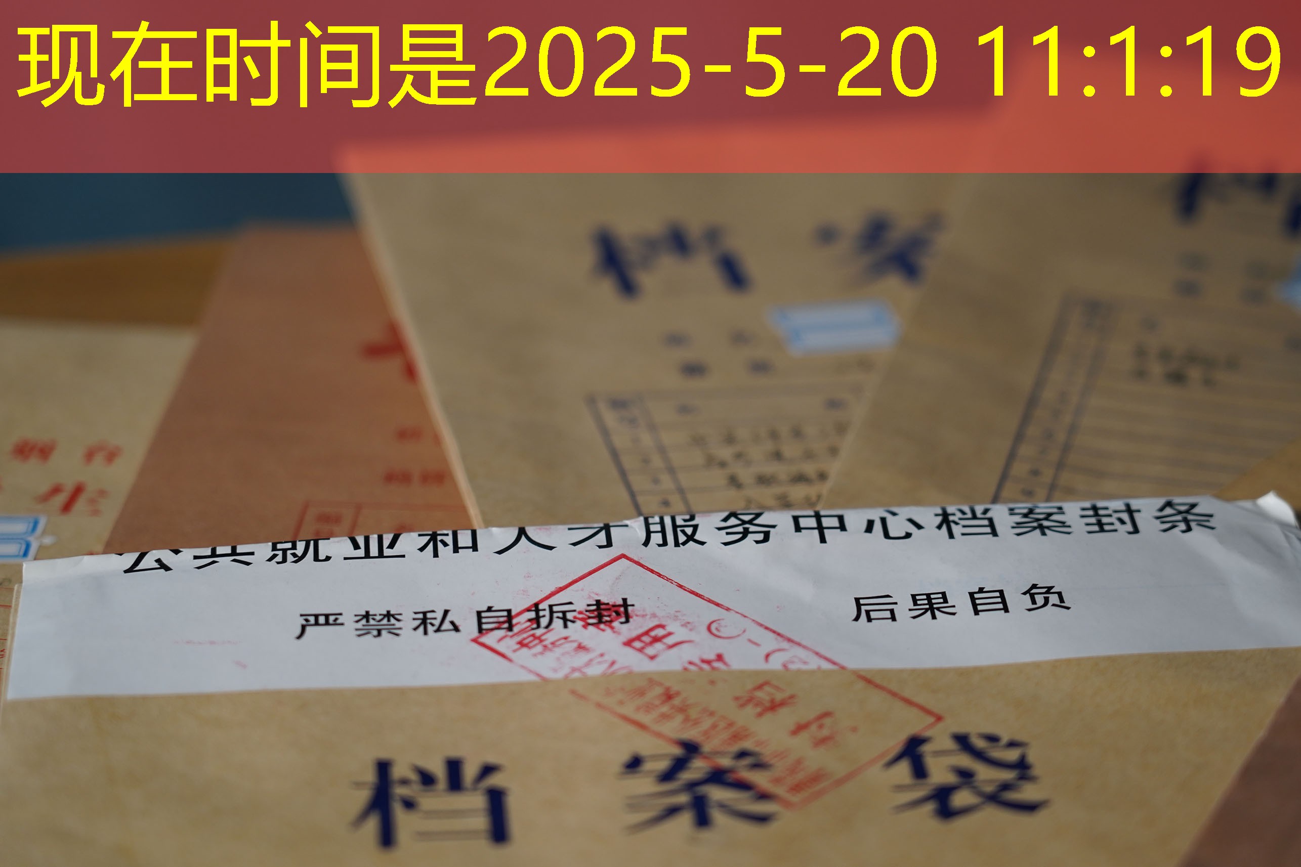 档案查询
