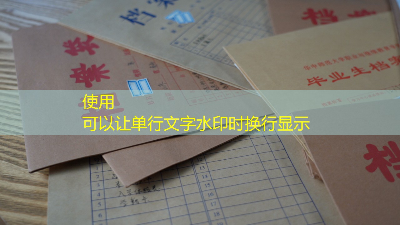 档案查询