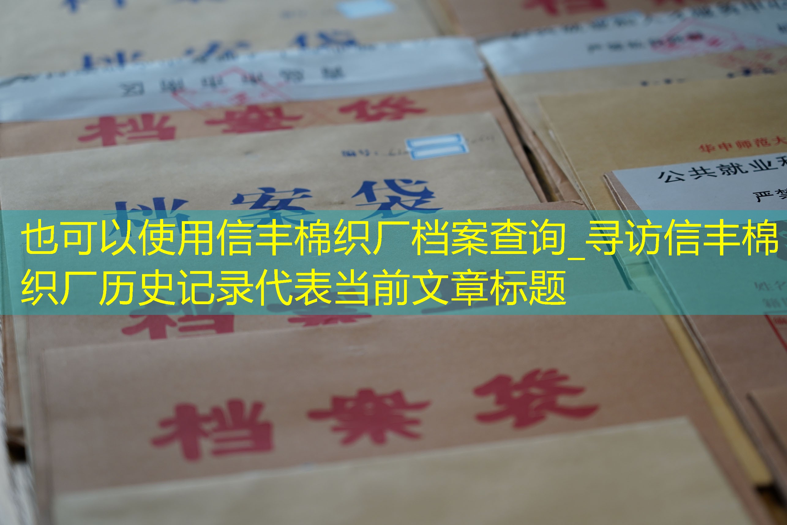档案查询