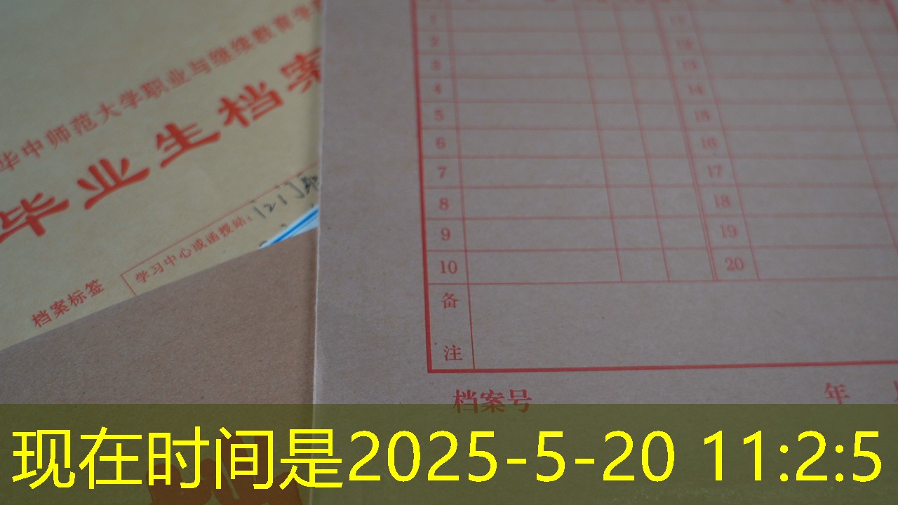 档案查询