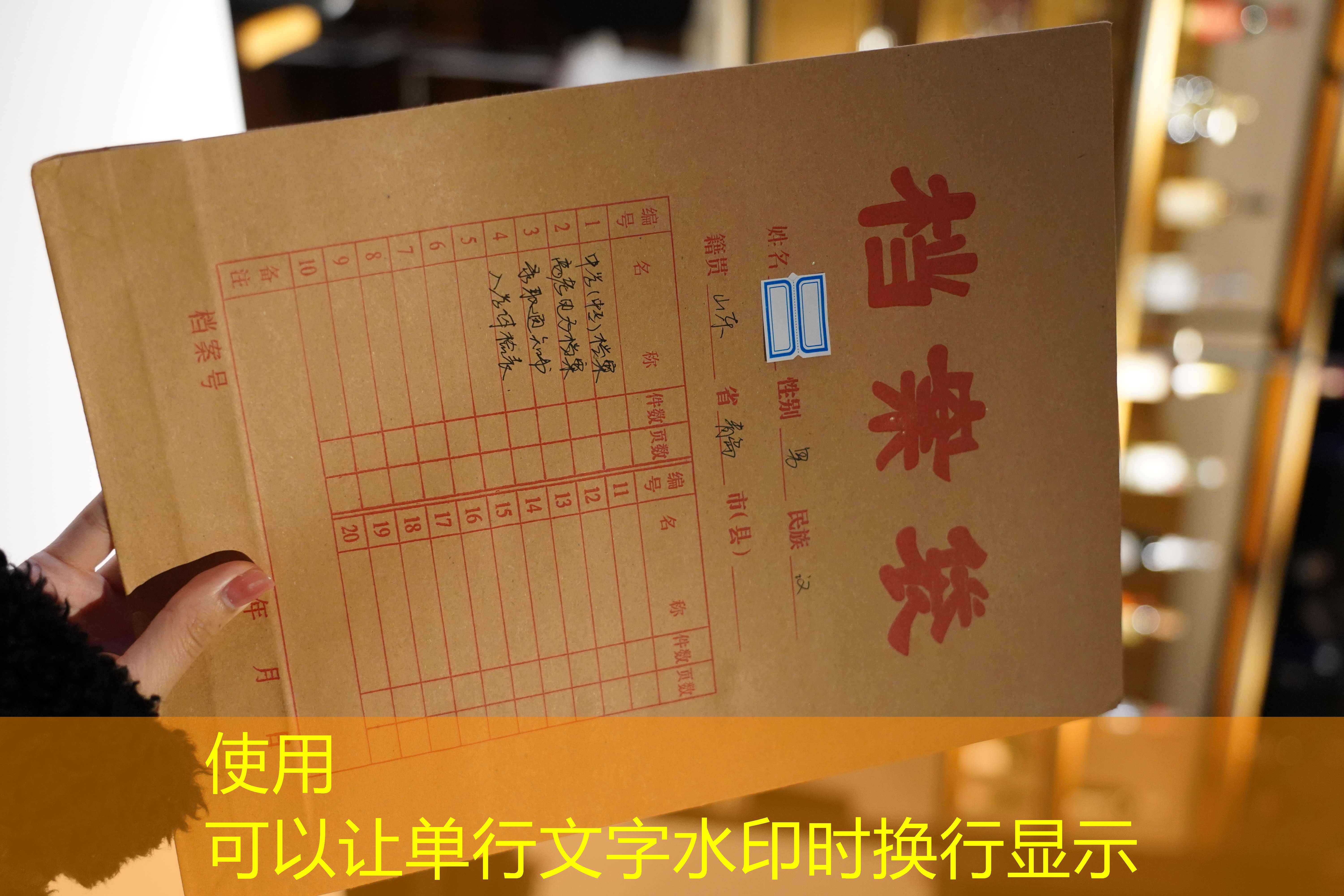 档案查询