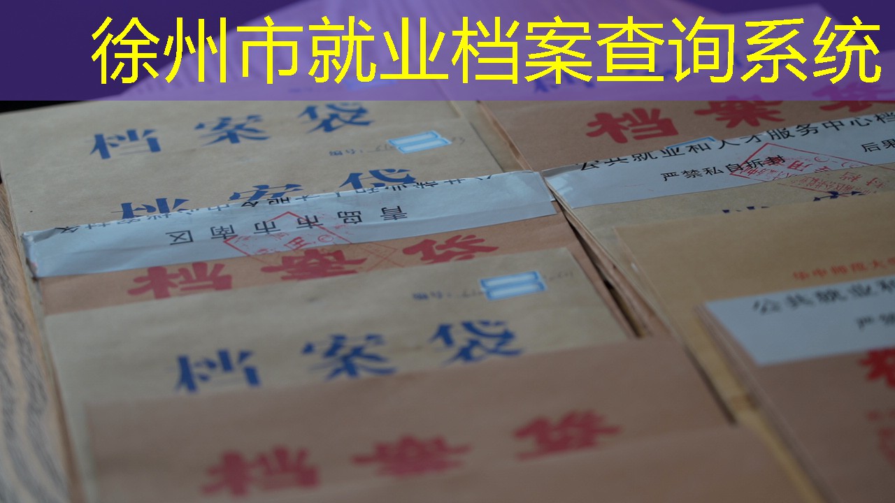 档案查询