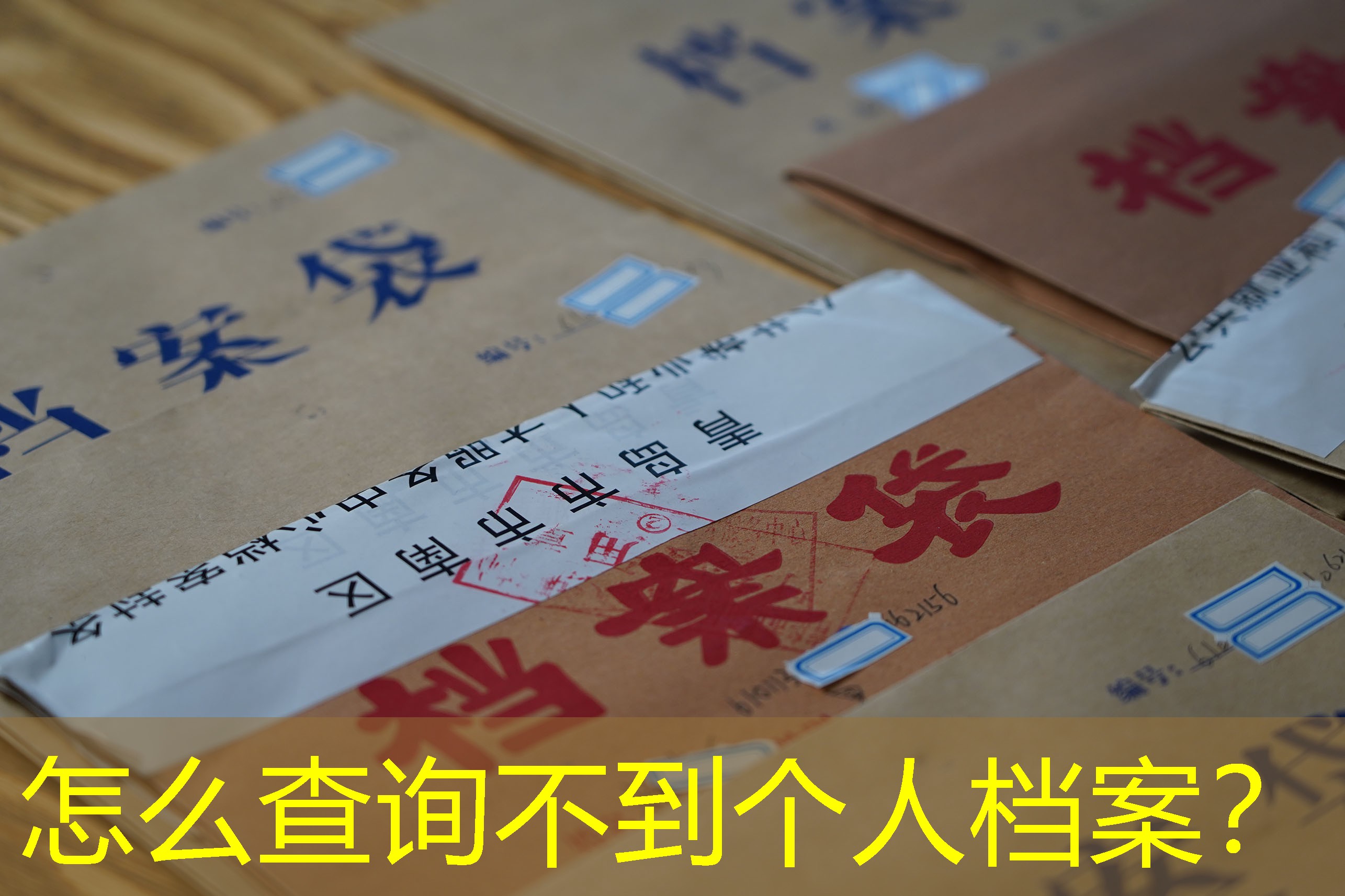 档案查询