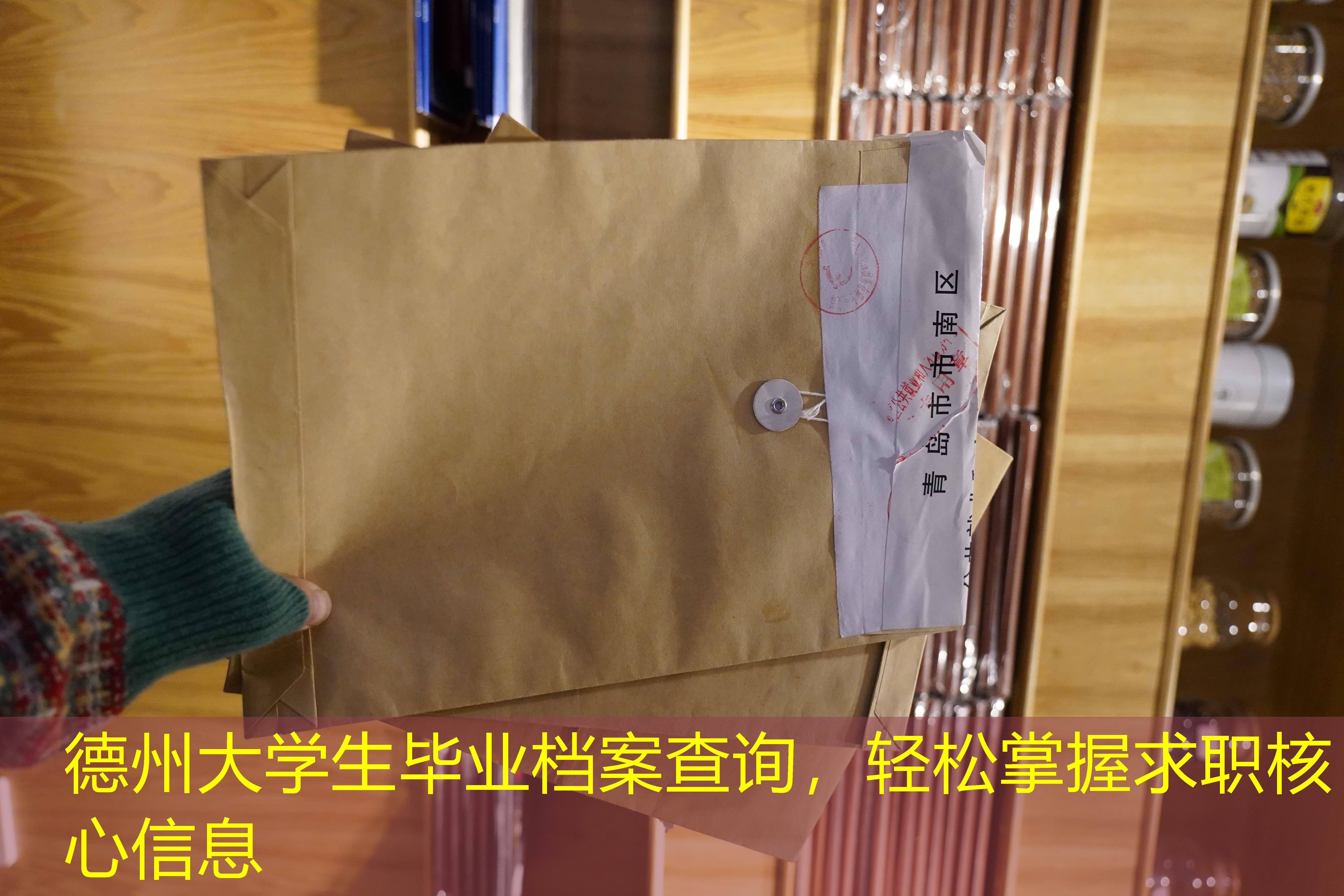 档案查询